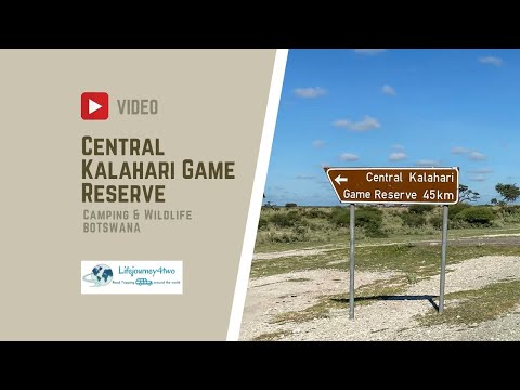 Central Kalahari Game Reserve, Botswana in January - The Green Kalahari