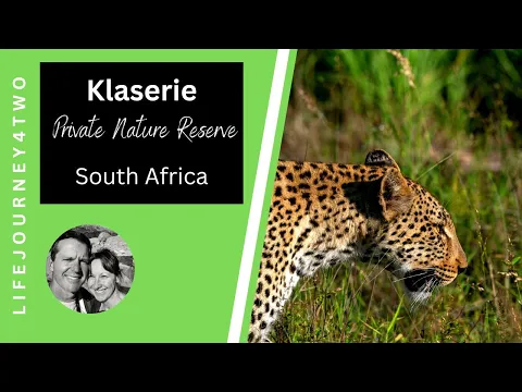 Klaserie Private Nature Reserve wildlife in 1 minute