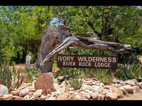 Ivory Wilderness River Rock Lodge - What A Fabulous Experience