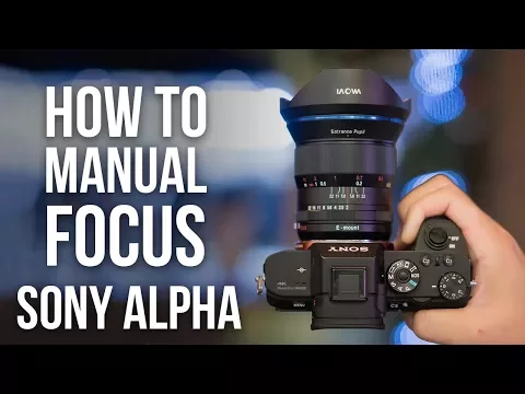 How to Manual Focus on Sony a6000 a6100 a6400 a6500 a6600 a7R IV a7III a9 II a7S II