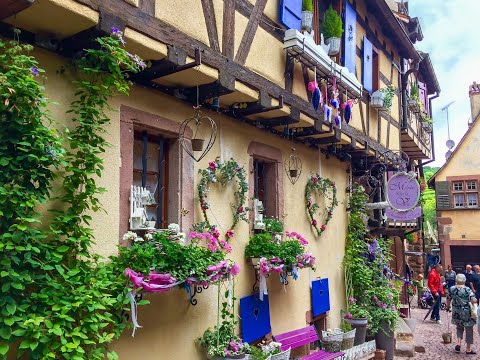 Alsace Uncovered: A Kaleidoscope of Summer Colours Unveiled