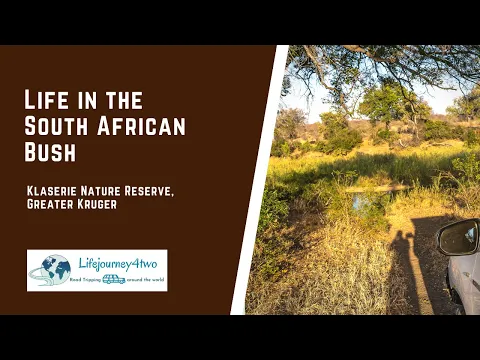 Klaserie Nature Reserve, Greater Kruger - Life in the South African Bush