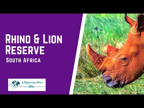 Rhino and Lion Nature Reserve, Krugersdrop, South Africa