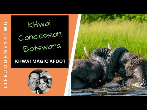 Khwai Concession Botswana  - The Magic at Khwai