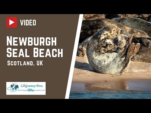 Newburgh Seal Beach, Edinburgh, Scotland