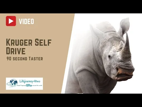 Highlights of Kruger National Park - September 2020