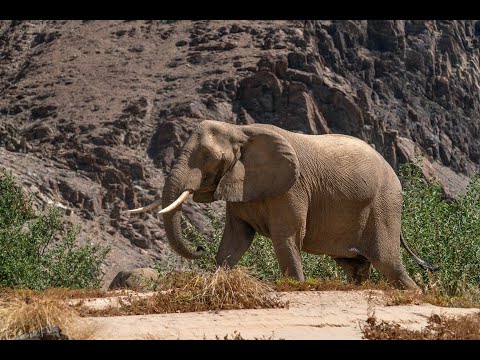 4x4 Hoanib River Challenge: Navigating Namibia's Wild Terrain in Search of Desert Elephants (Pt.3)