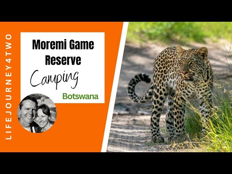 Exploring the Hidden Treasures of Moremi Game Reserve on a Self-Drive Safari, Botswana