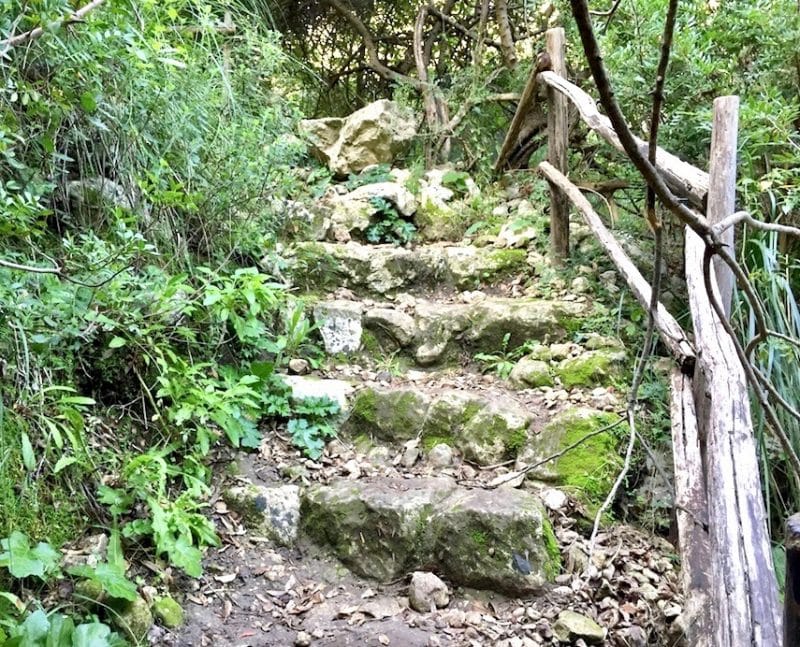 Rocky path going downhill with green vegetation on the side