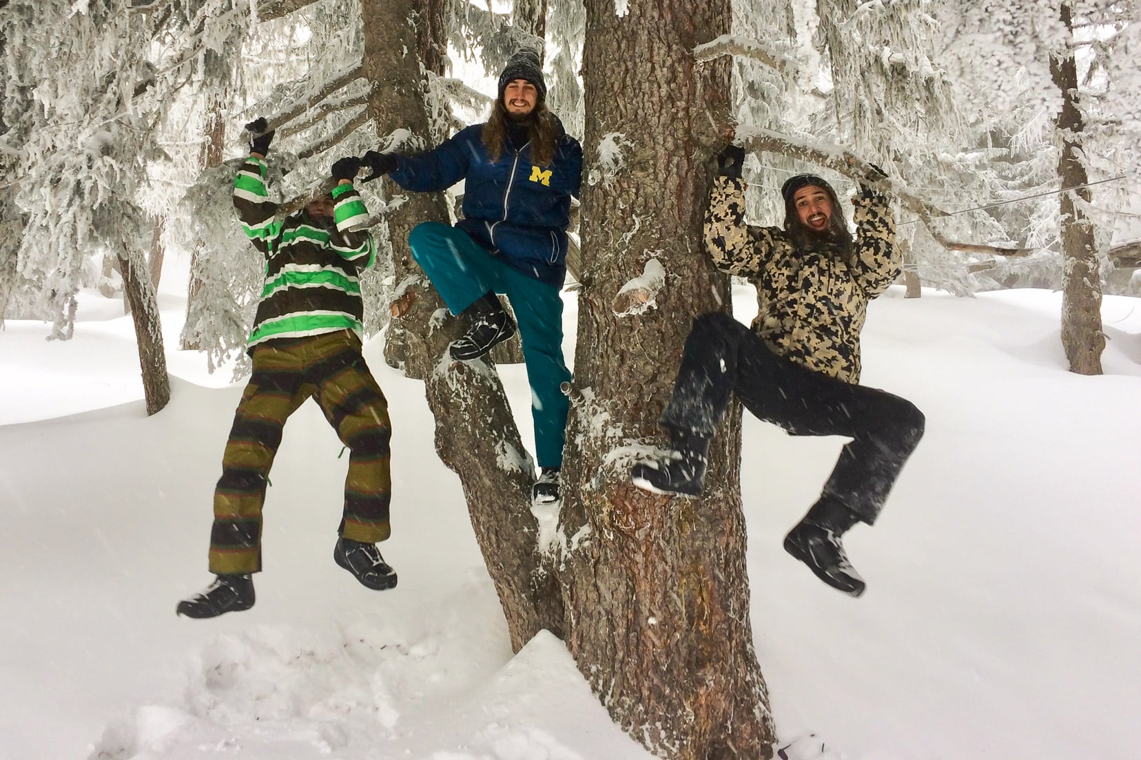 3-boys-swinging-in-the-snowy-pine-trees in Bettmeralp forest