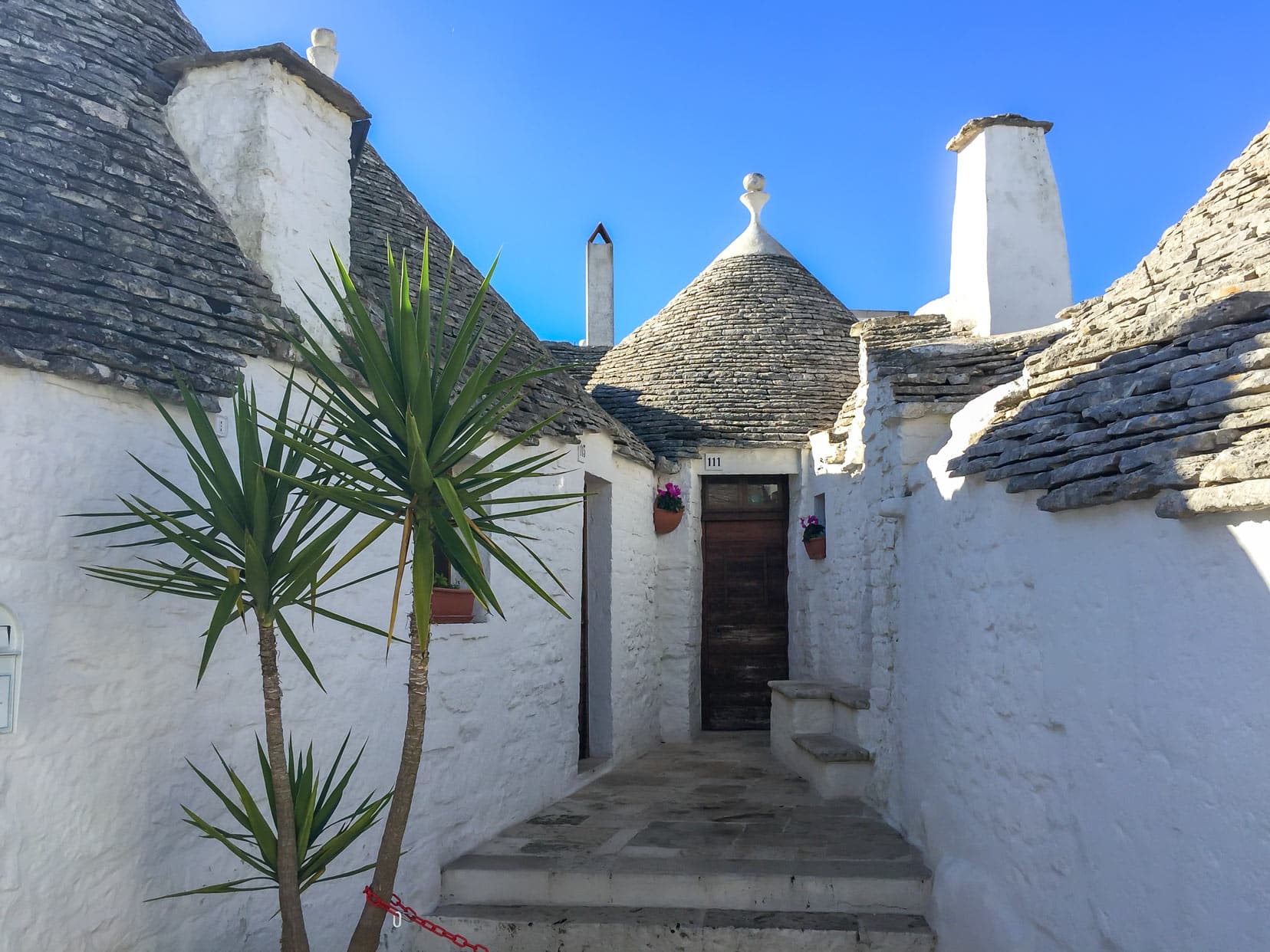 Small entrance way to an Alberobello house with a palm plant in the foreground
