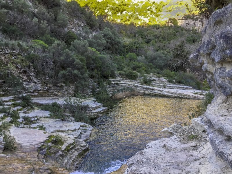 Rock pool downstream from the waterfall