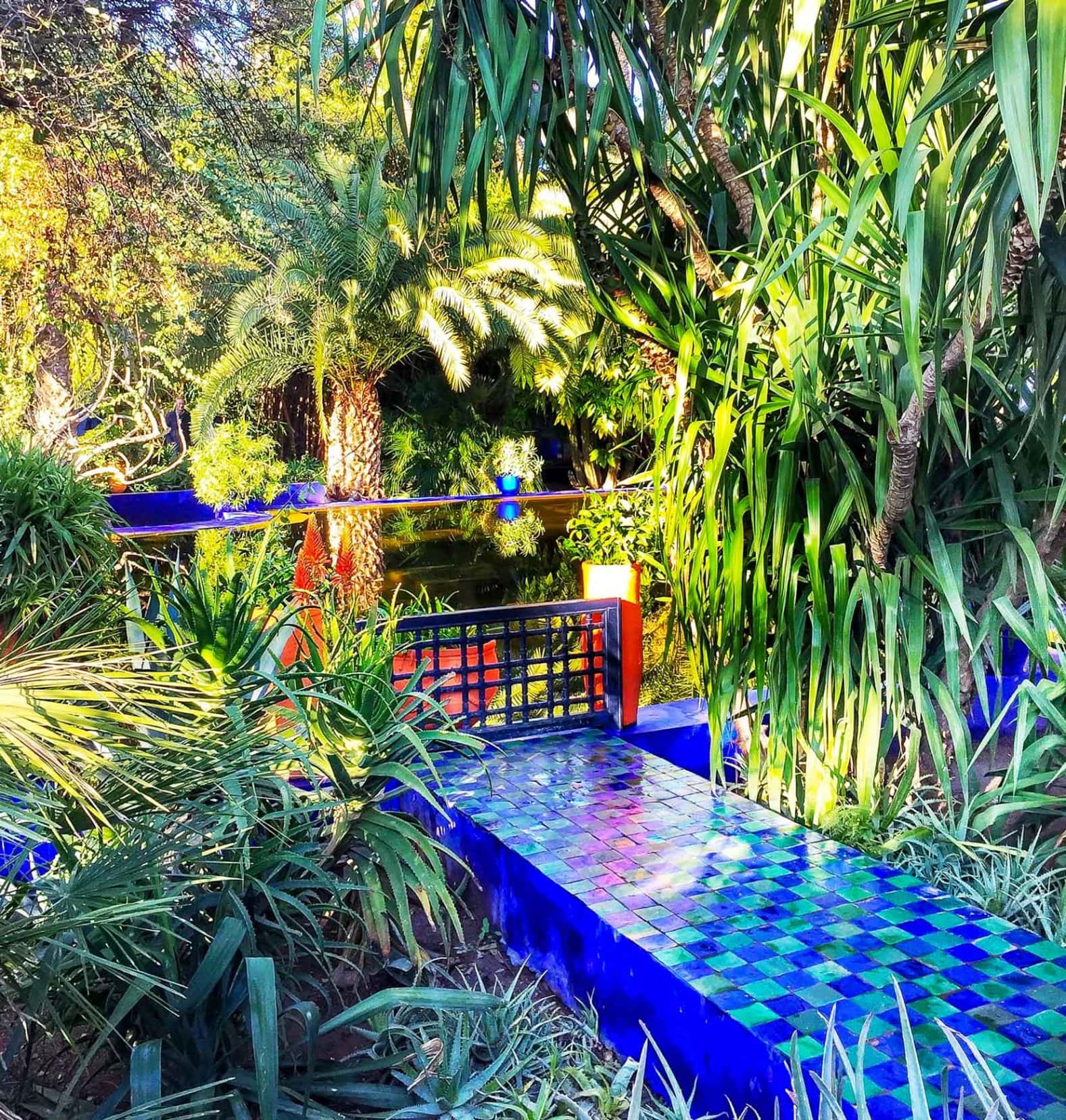 Majorelle gardens in marrakech with blue and green tiles and lots of plants 