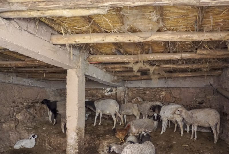 Stables under the Kasbah to house the animals during winter
