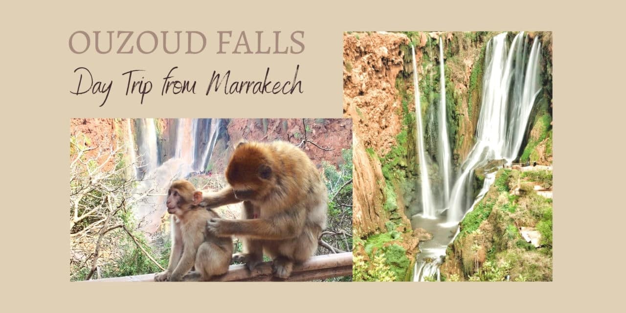 Ouzoud Falls Monkeys: Chocolate Waterfalls and Barbary Apes