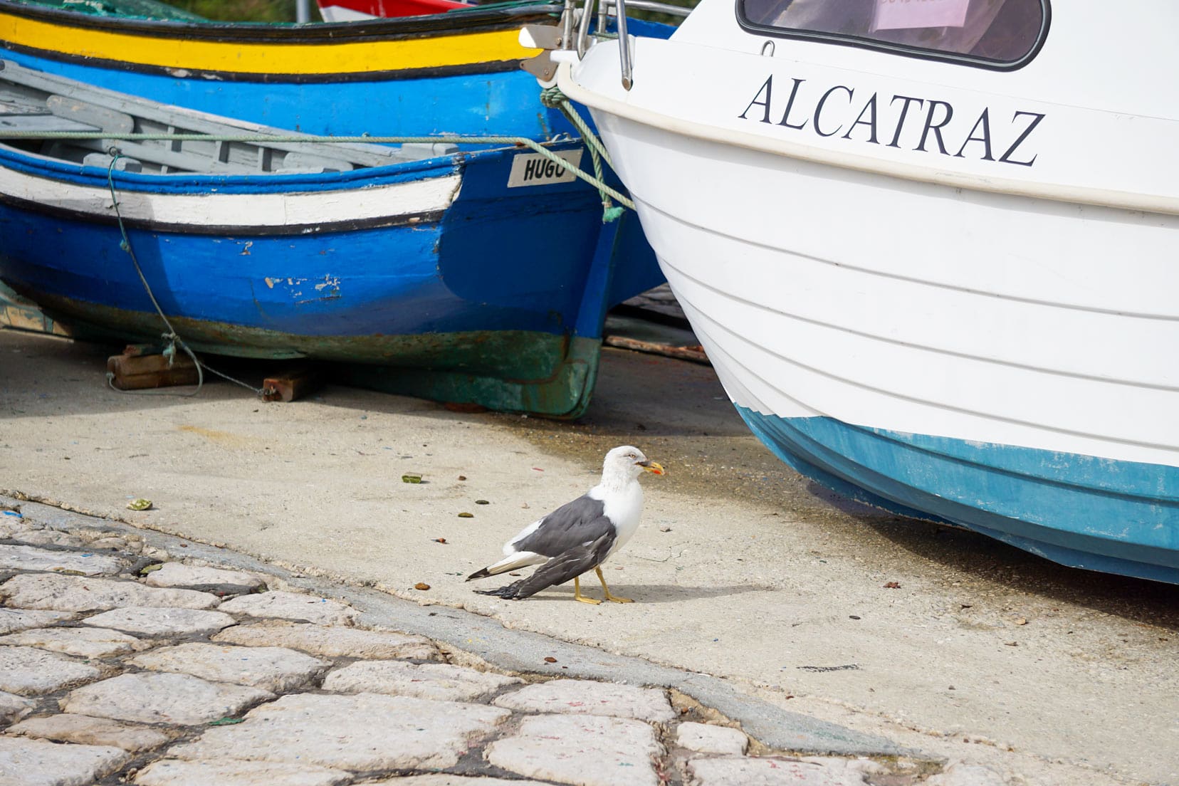 Life at Sesimbra Marina