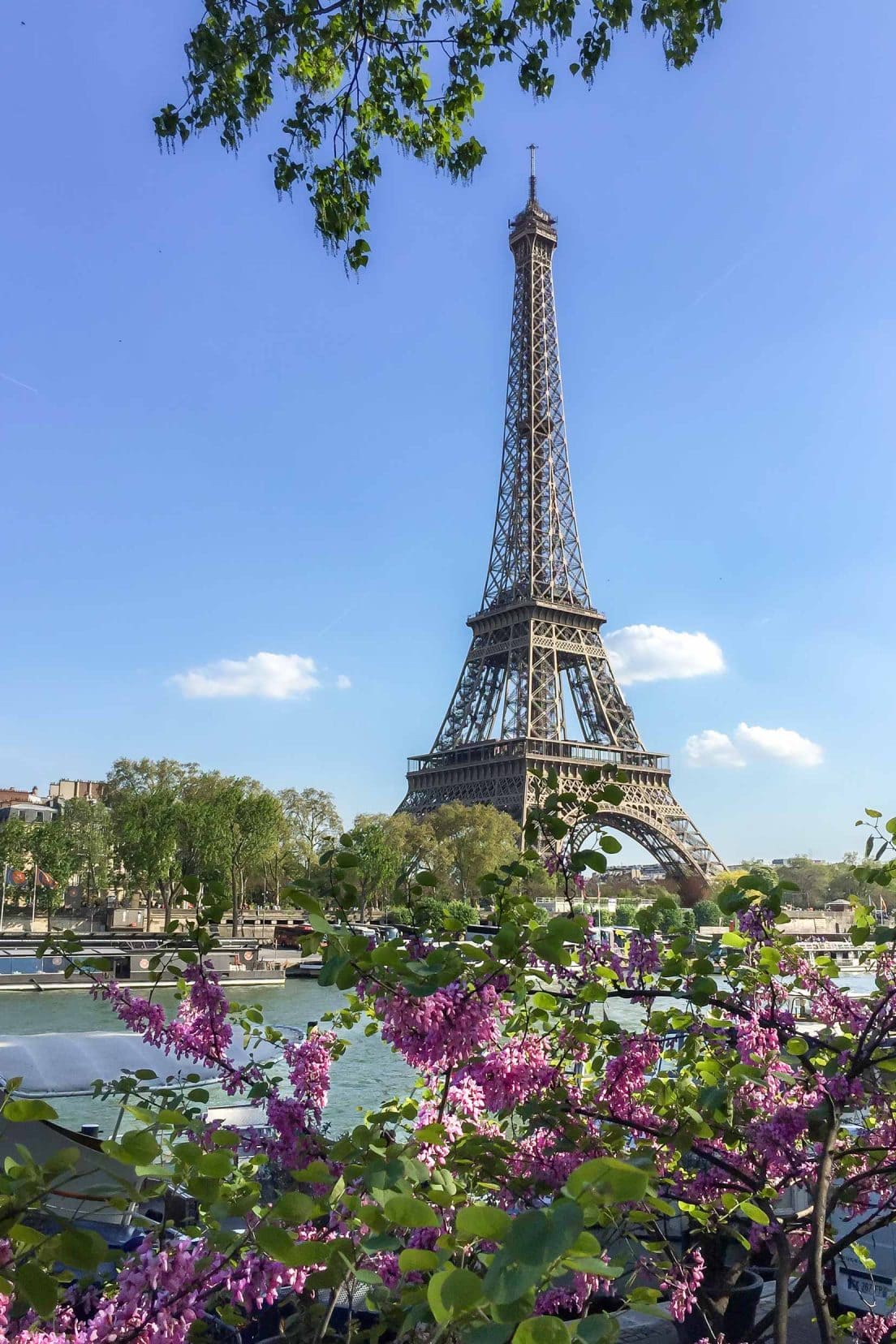 l-Eiffel-with-cherry-blossom-flowers