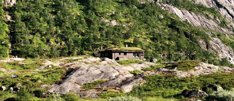 Wooden cabin with a grass roof - in the background is a mountain covered in green trees