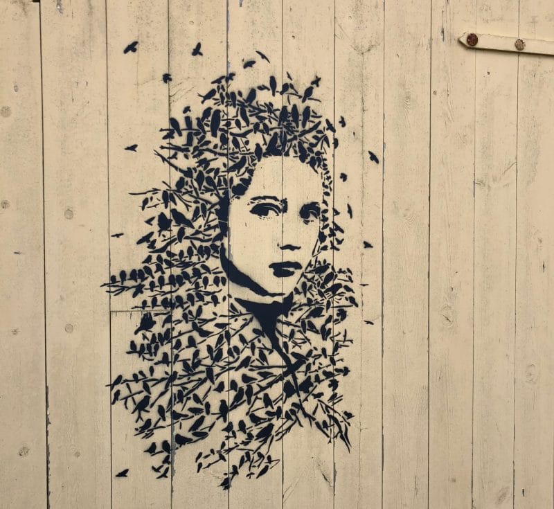 A wooden door with a girls head painted on. Her hair is made up of loads of tiny birds