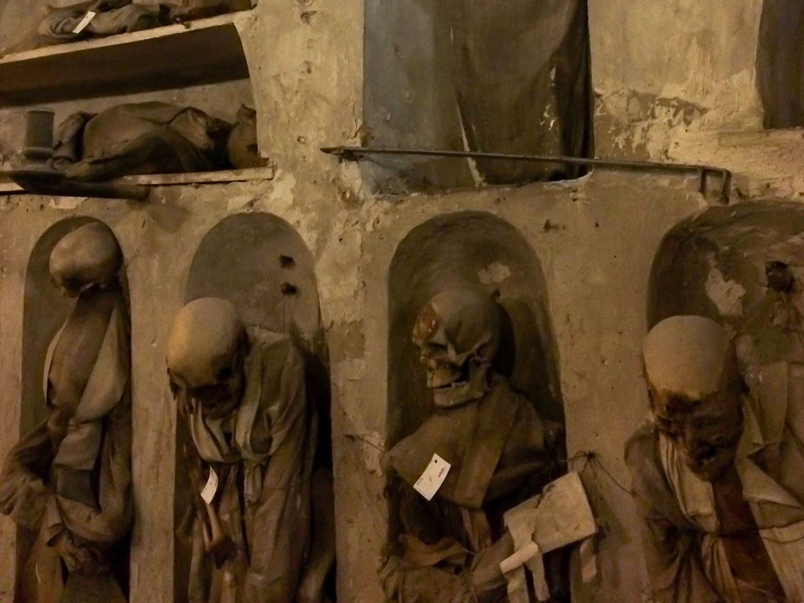 mummified-corpses