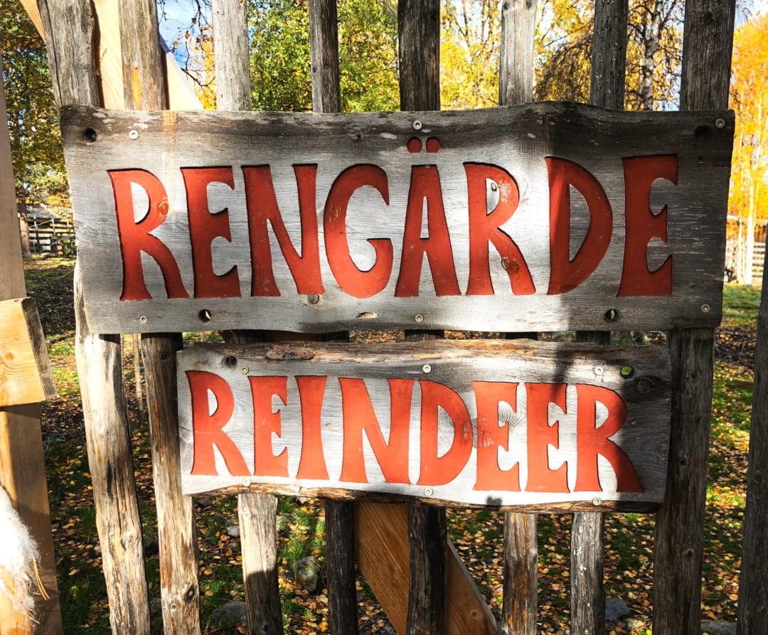 reindeer sign in english and swedish 