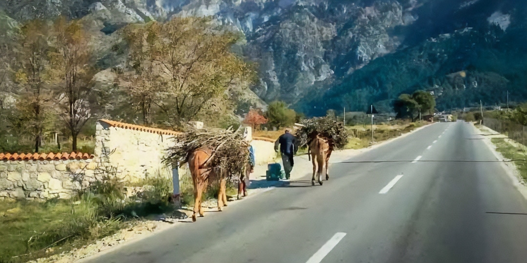 Albania-Road-Trip-Header horses being lead along the road carrying sticks