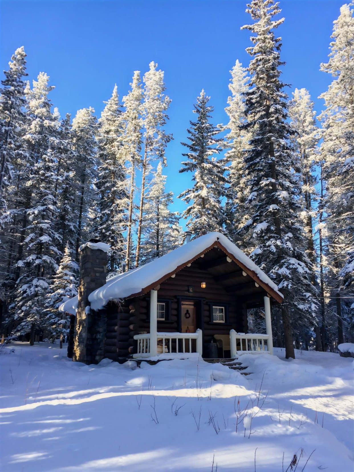 Christmas-in-Banff-our-Cabin wooden log cabin in the snow surrounded by pine trees