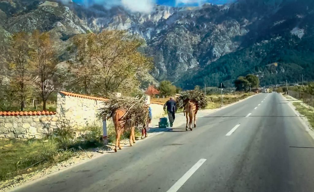 A road in rural Albania along which there are two horses being walked by a man and a woman. The horses have sticks on their back. There are huge mountains in the background.