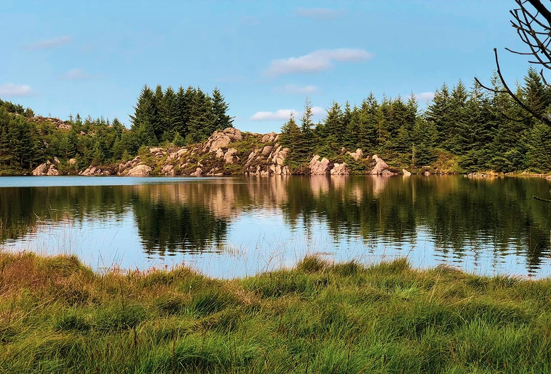 View of a lake near Skudeneshavn with green grass edges, pine trees and rocky outcrops