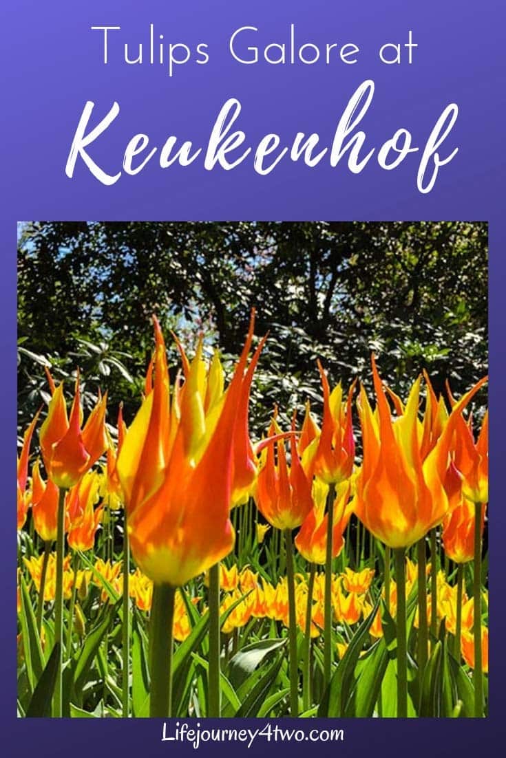 Keukenhof tulip Gardens Pinterest pin