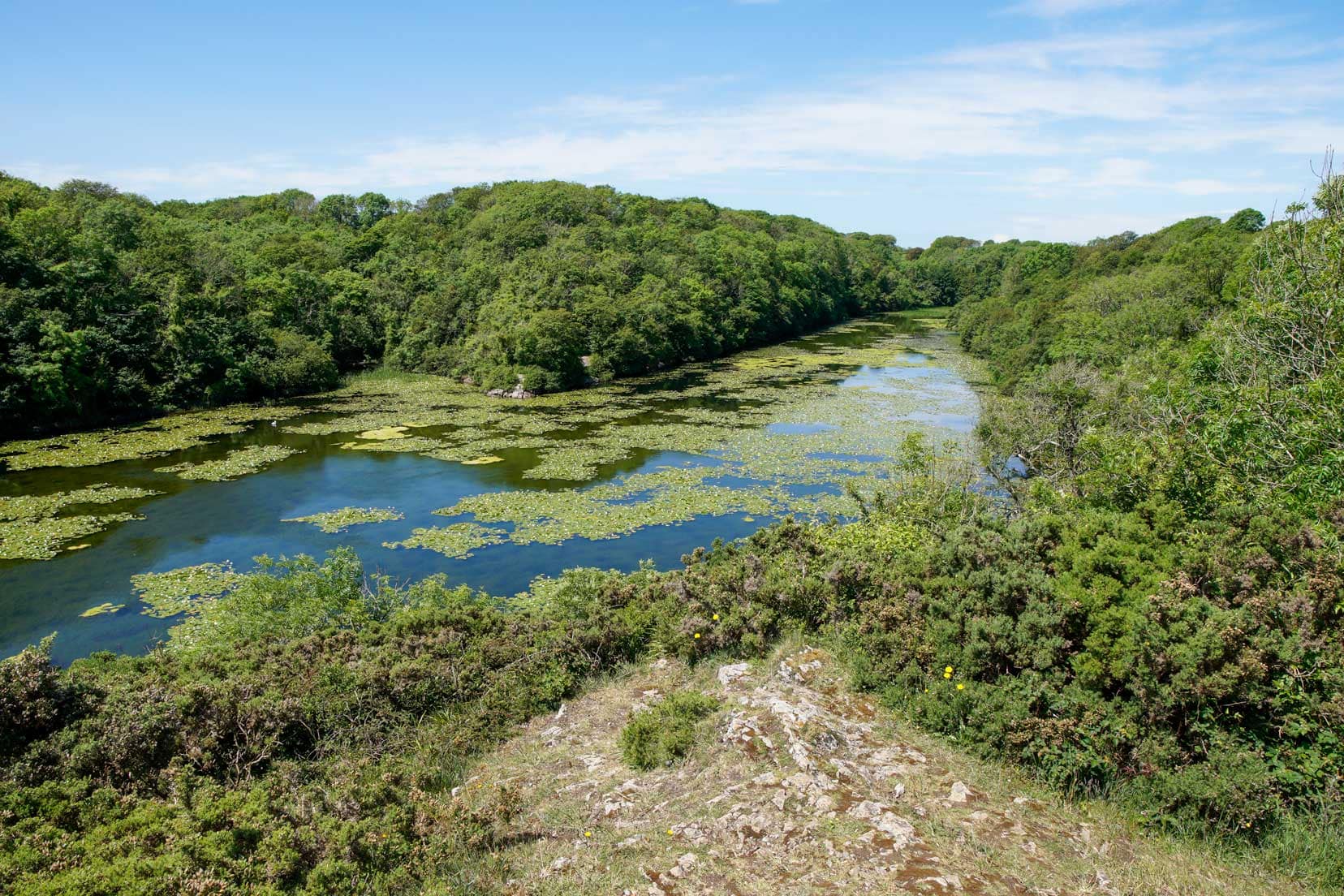 3-Day-Pembrokeshire-Itinerary_green-lily-river