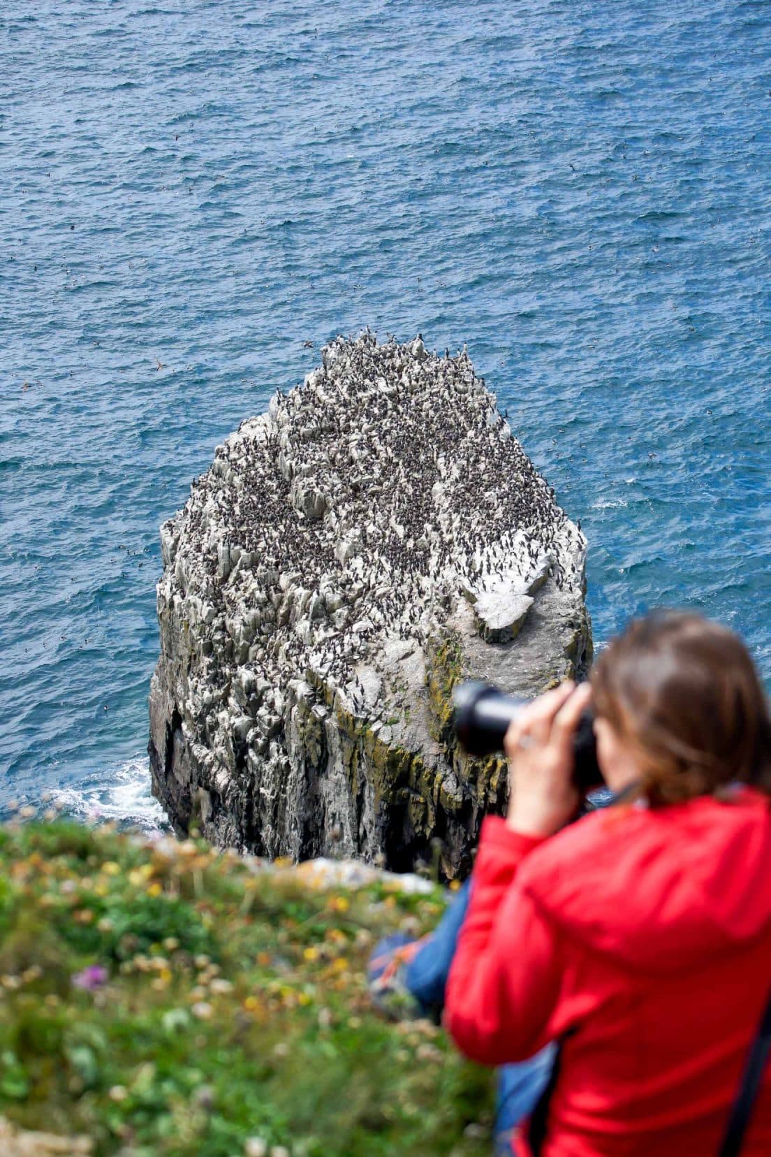 3-Day-Pembrokeshire-Itinerary_shooting-birds-from-wales-cliffs