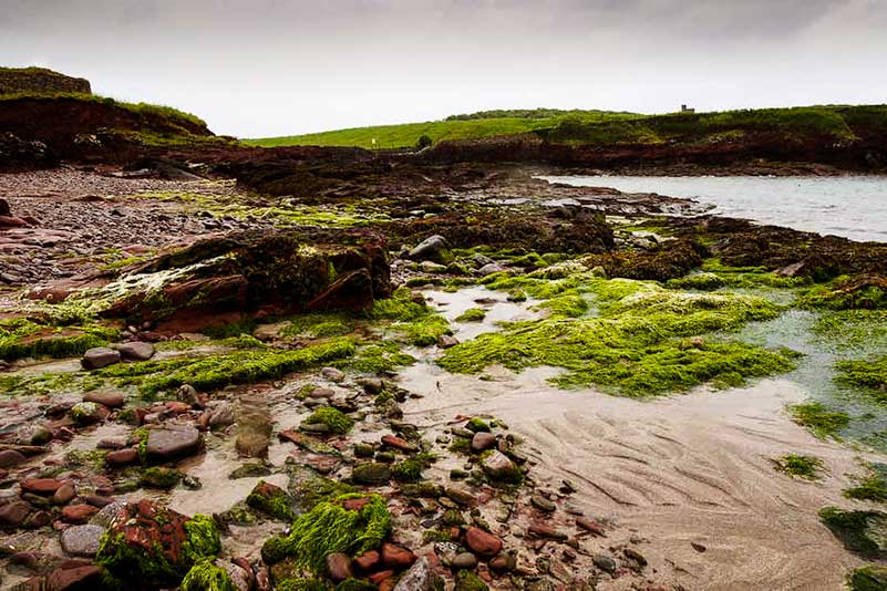 St Brides Bay, Pembrokeshire, Wales