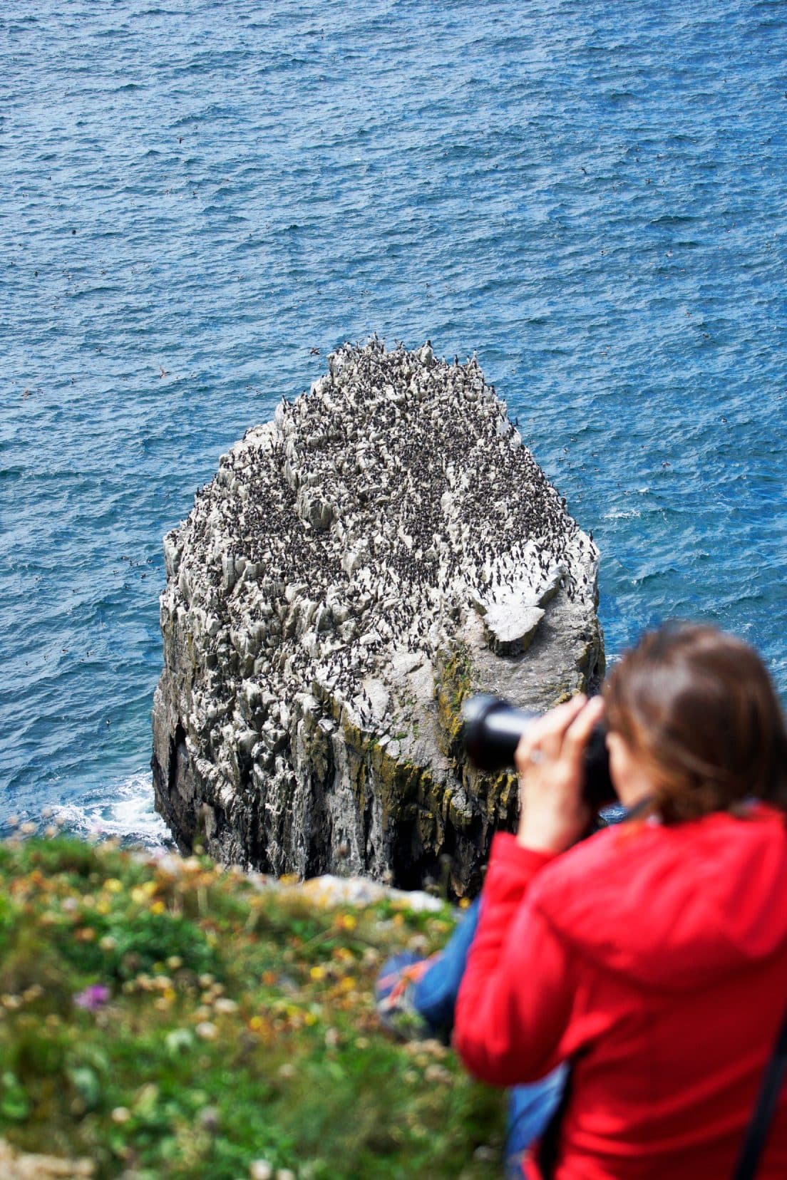 Pembrokeshire Itinerary: Shelley sat on edge of cliff taking a photo of the hundreds of guillemots on top of a rock in the sea