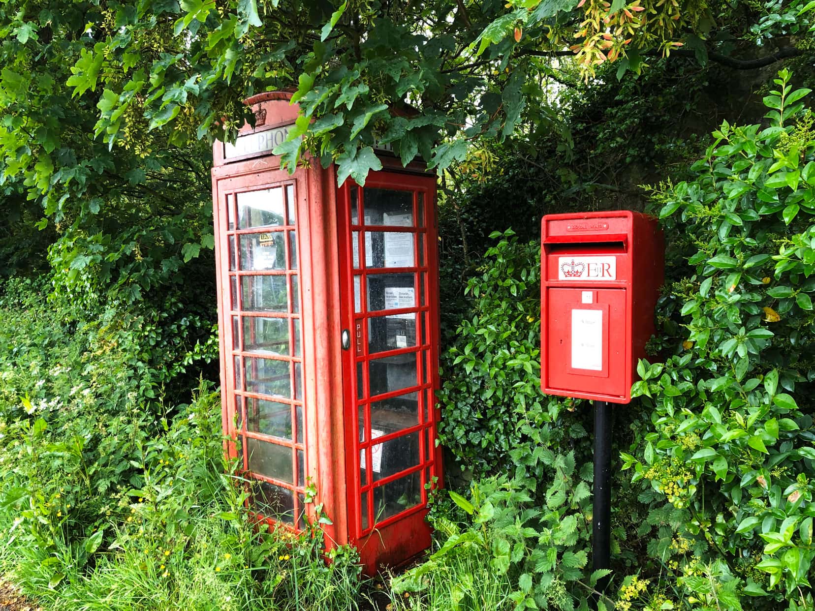 Pembrokeshire itinerary Red telephone box with a red post box beside it in among greenery and bushes