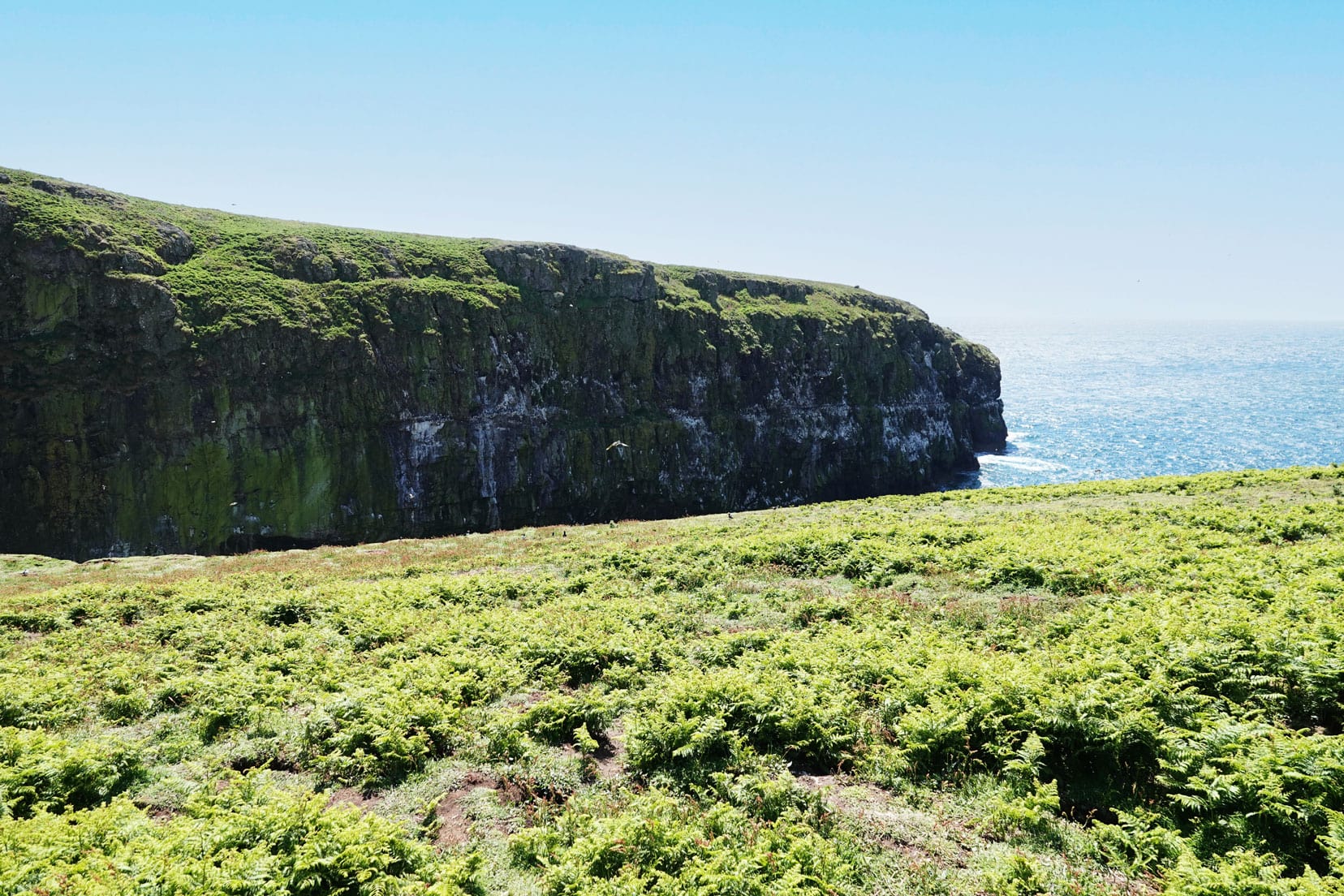 Skomer Island - the wick- Cliff face reaching out into the sea