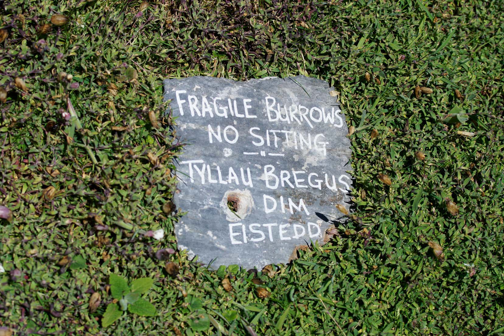 Skomer-Island-puffins-sign