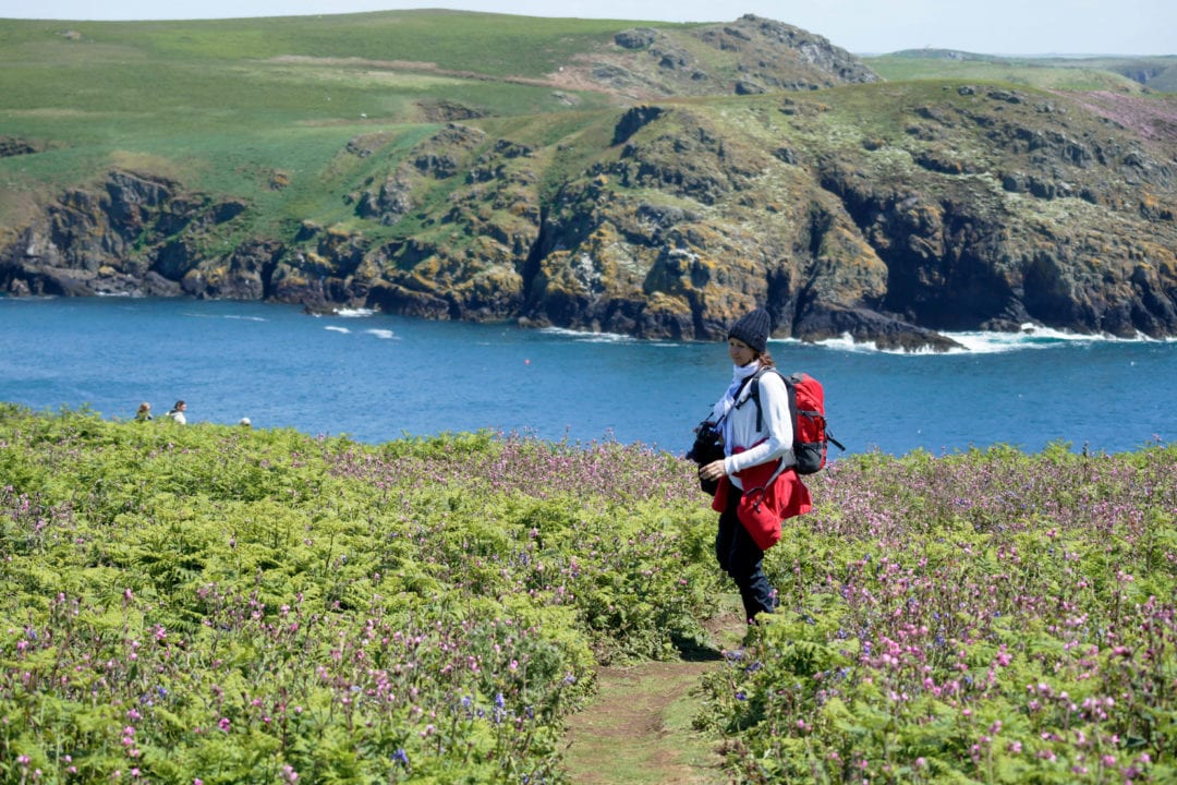 a-lady-walking-amongst-wildflowers