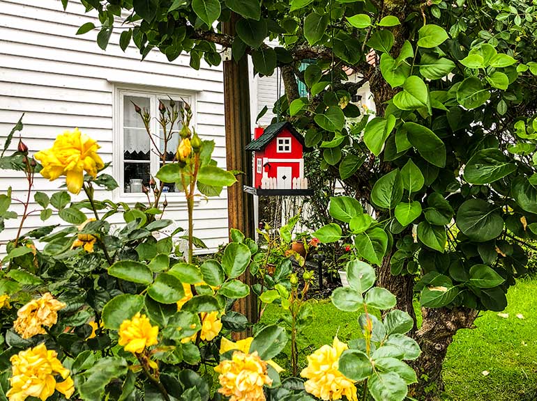 Bird house amongst a flowery garden in Skudeneshavn