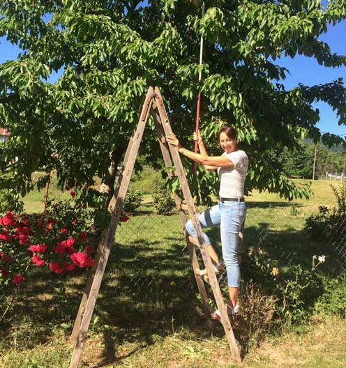 Shelley picking cherries and standing on a ladder with a cherry picker