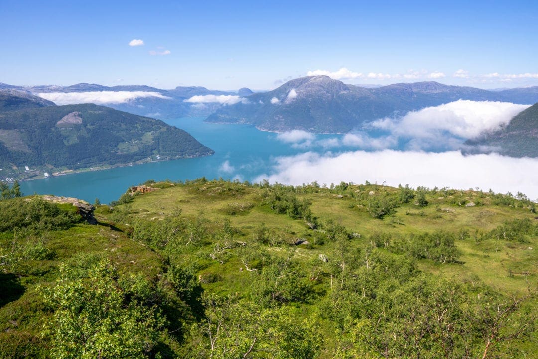 converging fjords seen from a mountain top