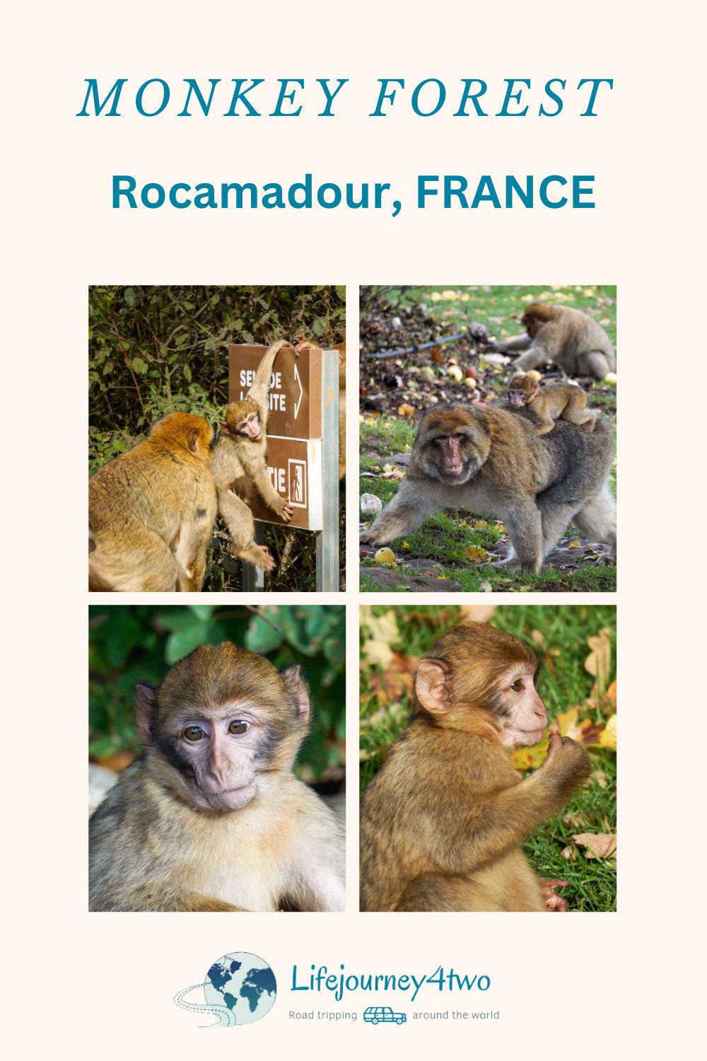 Rocamadour monkey forest pinterest pin