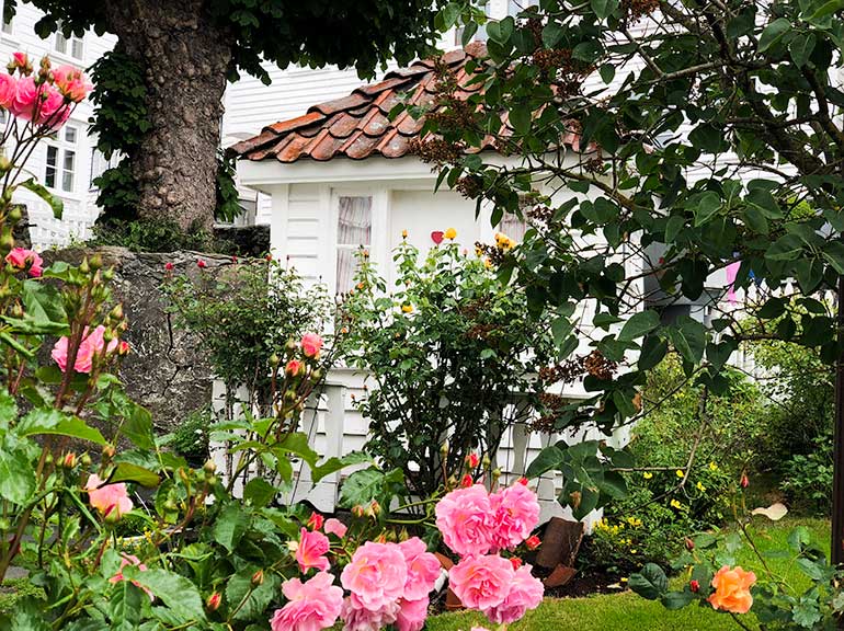 White house with a flower garden and pink roses 