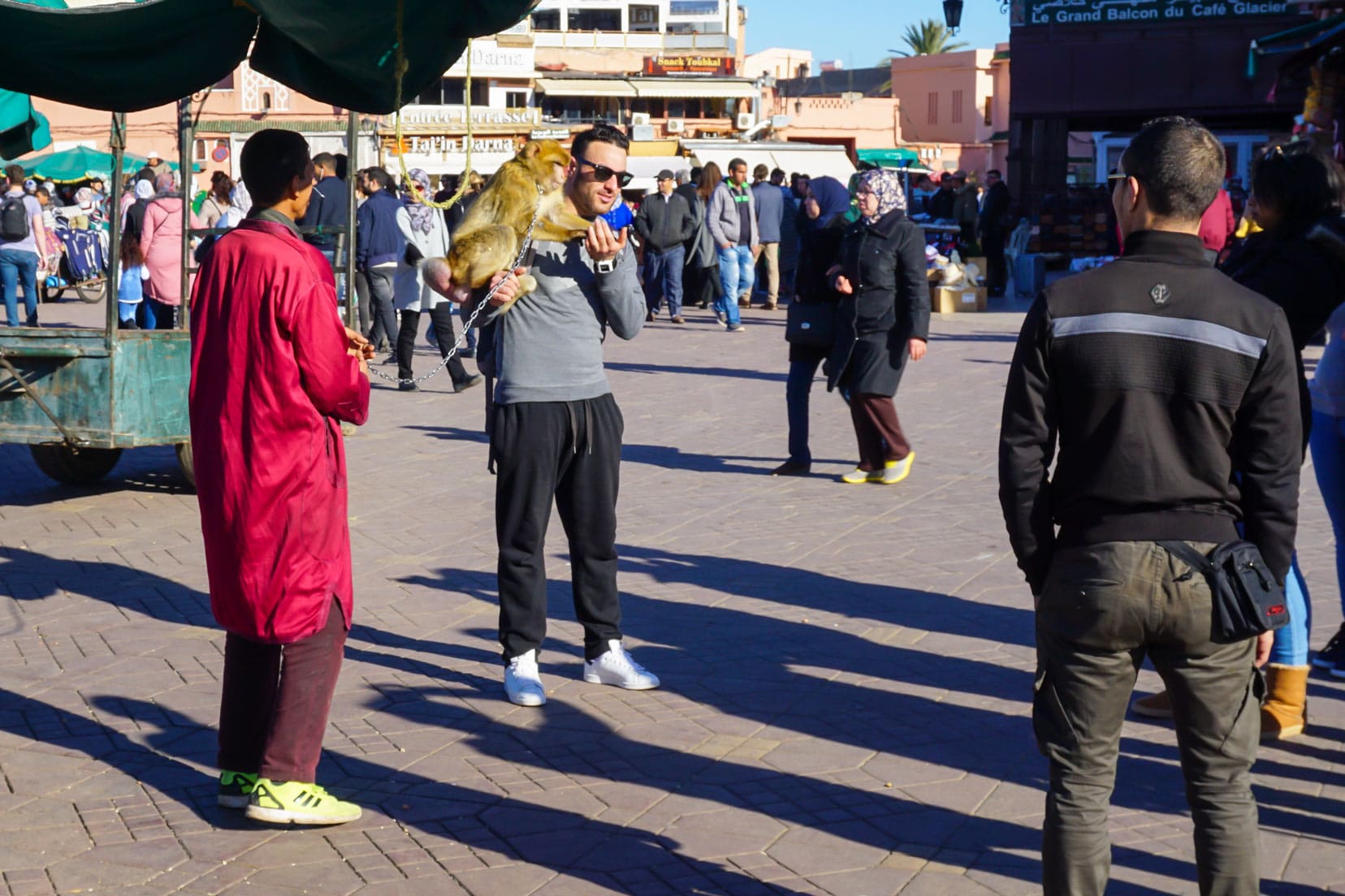 monkey-on-a-chain-in-Marrakech