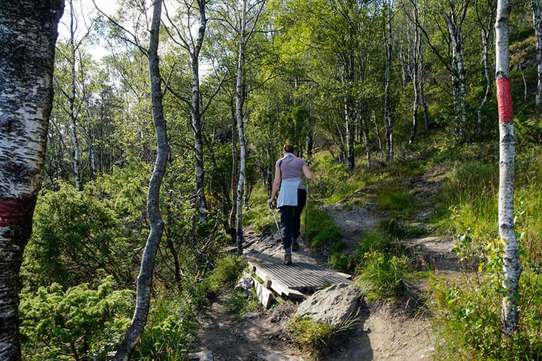 Himakana path flattening out at the top 