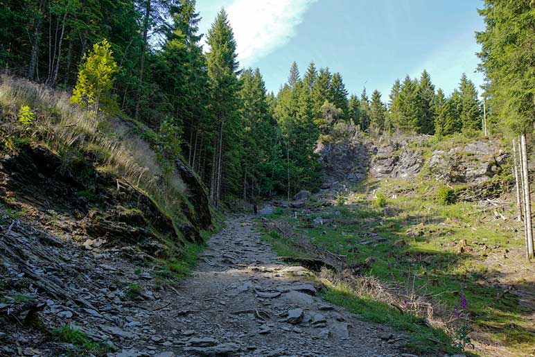 Himakana path scenery