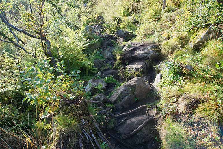 The very steep trail ascending the final mountain with roots and rocks protruding on the Dronningruta Hike