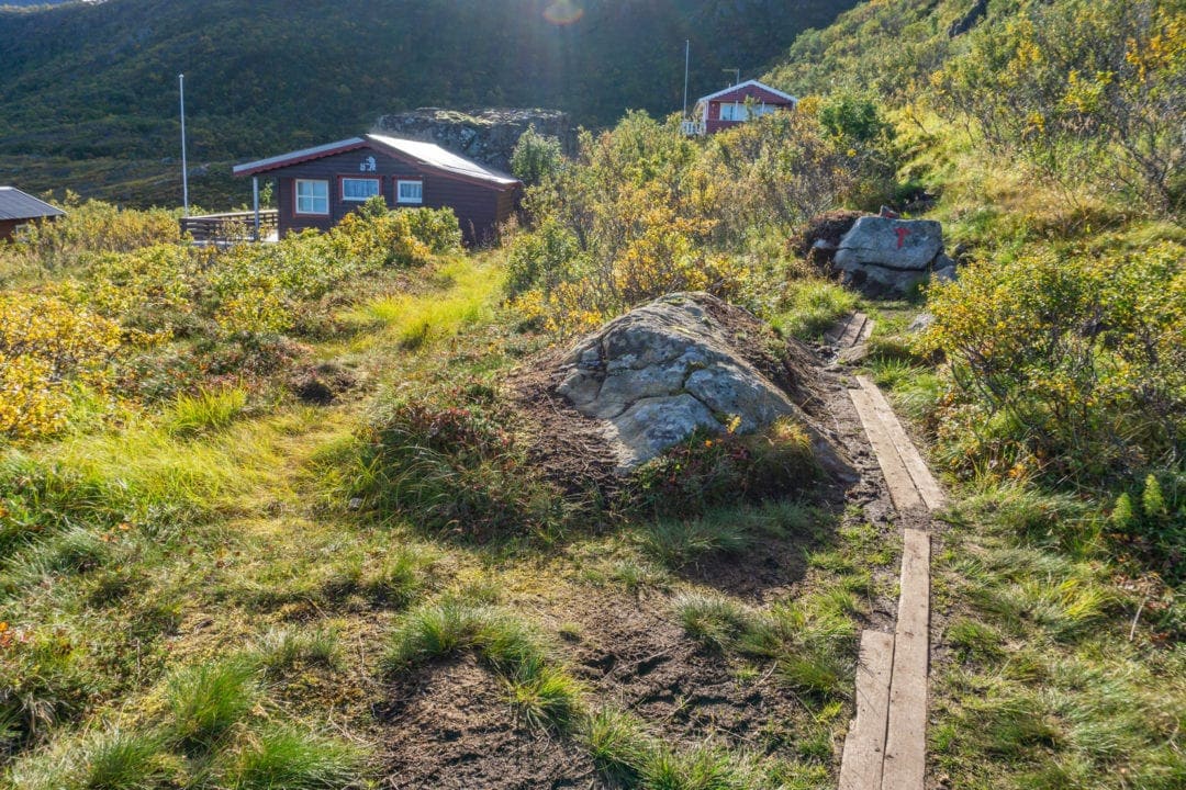 wooden planks cover a muddy trail