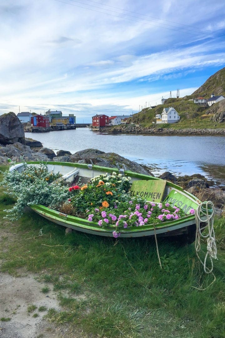 wooden boat with flowers in it on shoreside with town in background near the harbour