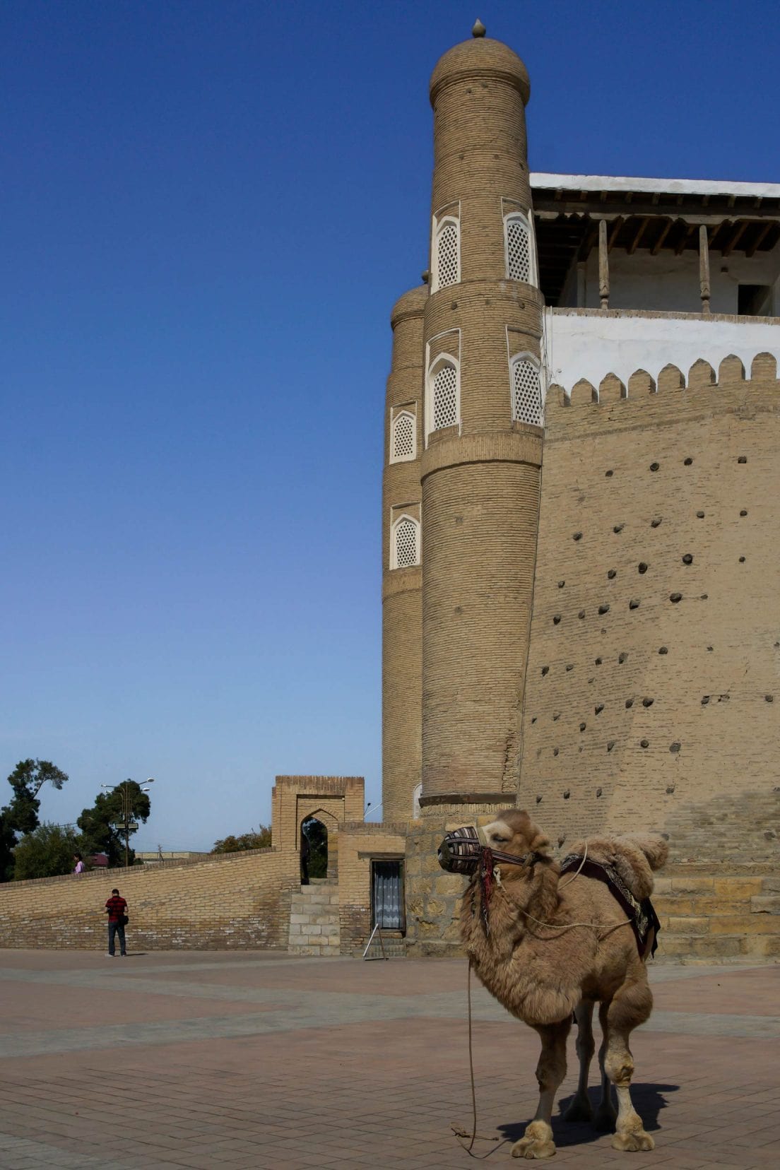 The-Ark-entrance,-Bukhara